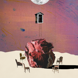 李湘一级毛片免费高清
