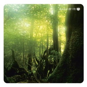 李湘一级毛片免费高清
