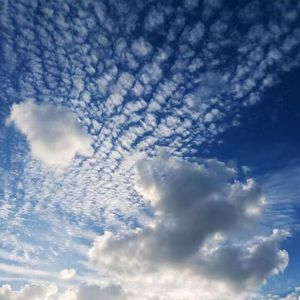 李湘一级毛片免费高清
